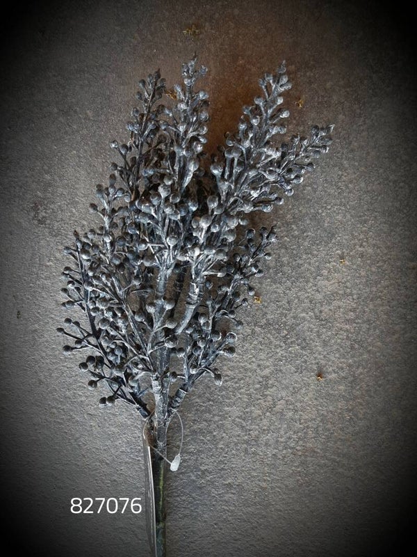 827076 skimmia black