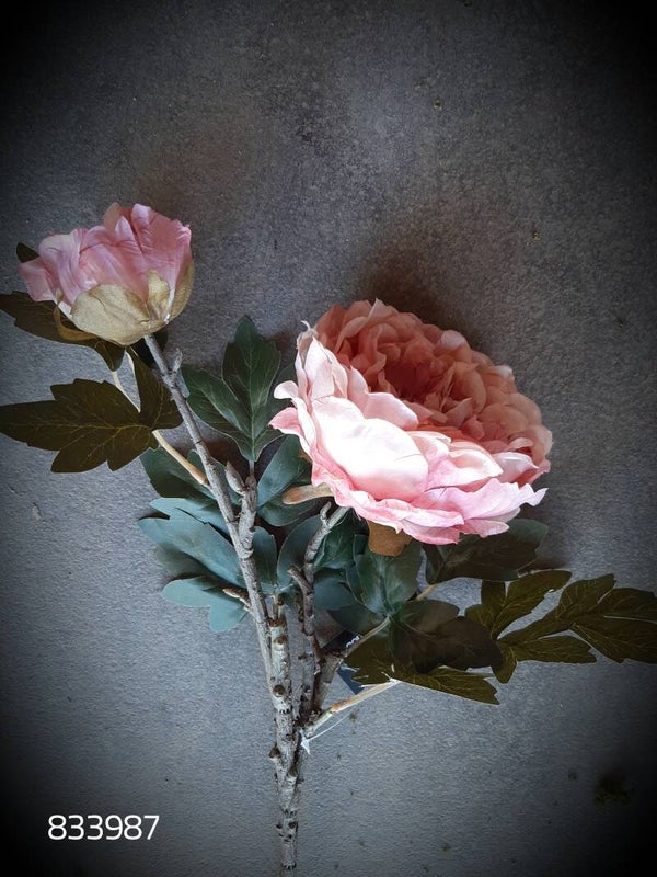 833987 peony vintage pink