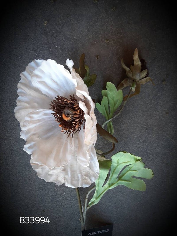 833994 papaver creme