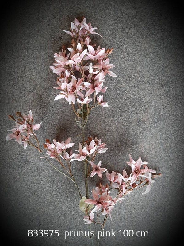833975 prunus vintage pink