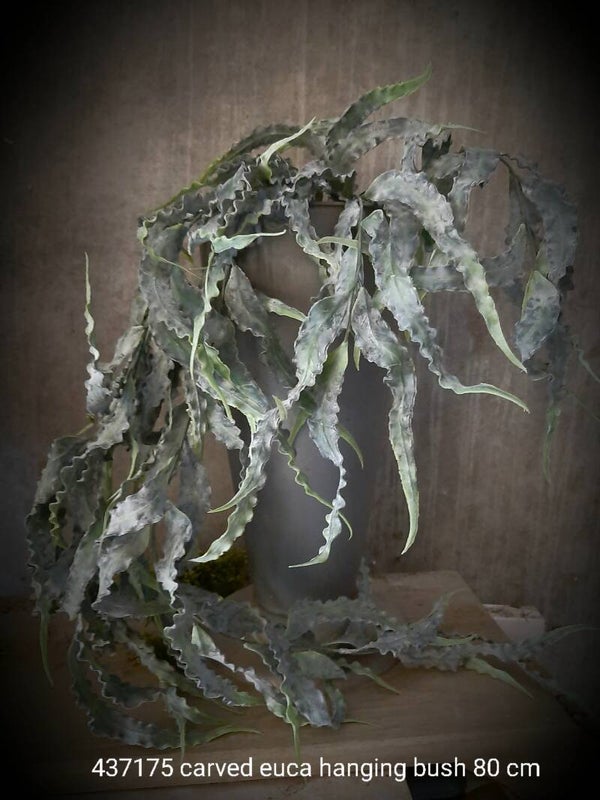 437175 carved euca hanging bush 80 cm (3 C )