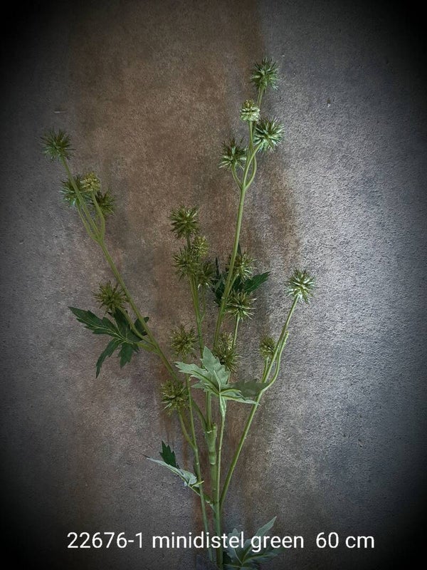 22676-1minidistel green 60 cm  ( 1 - C )