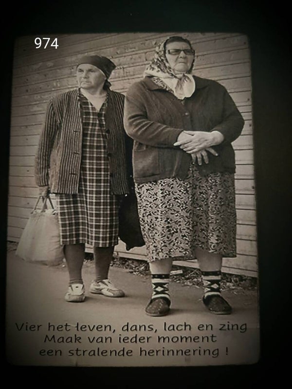 974 vrouwen hoofddoek vier het leven