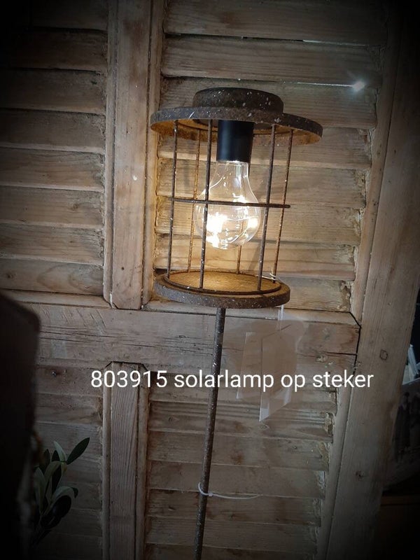803915 solar lam op tuinsteker