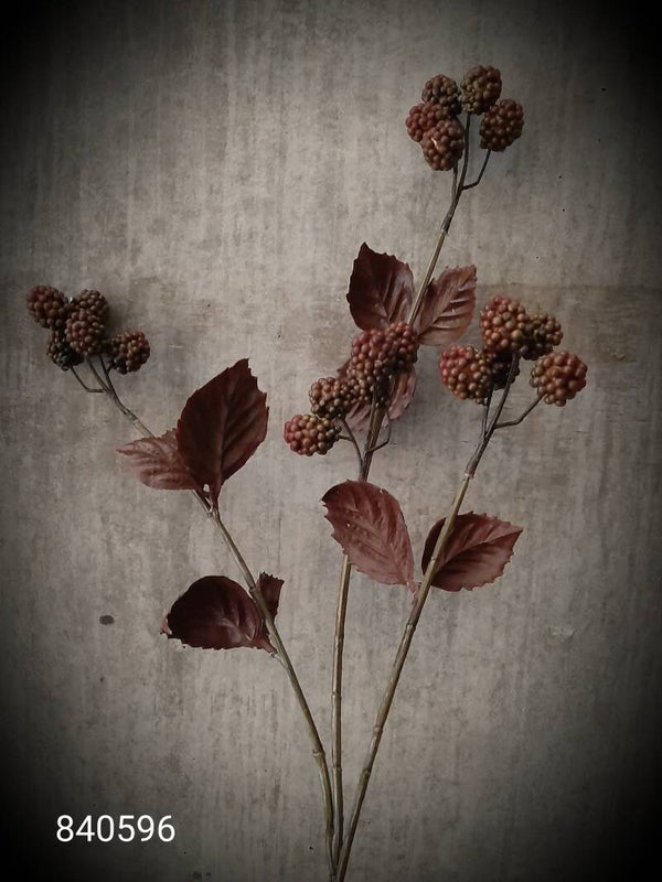 840596 bramentak burgundy