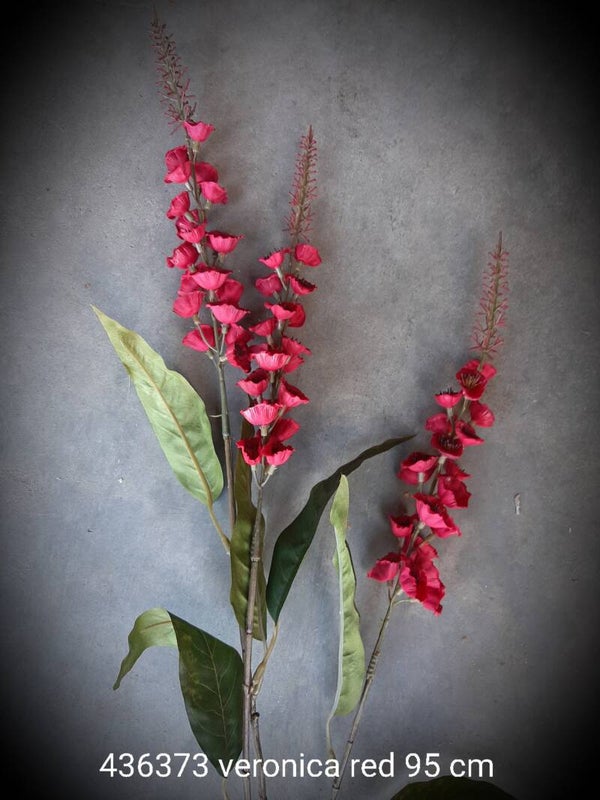 436373 veronica  magenta  95 cm