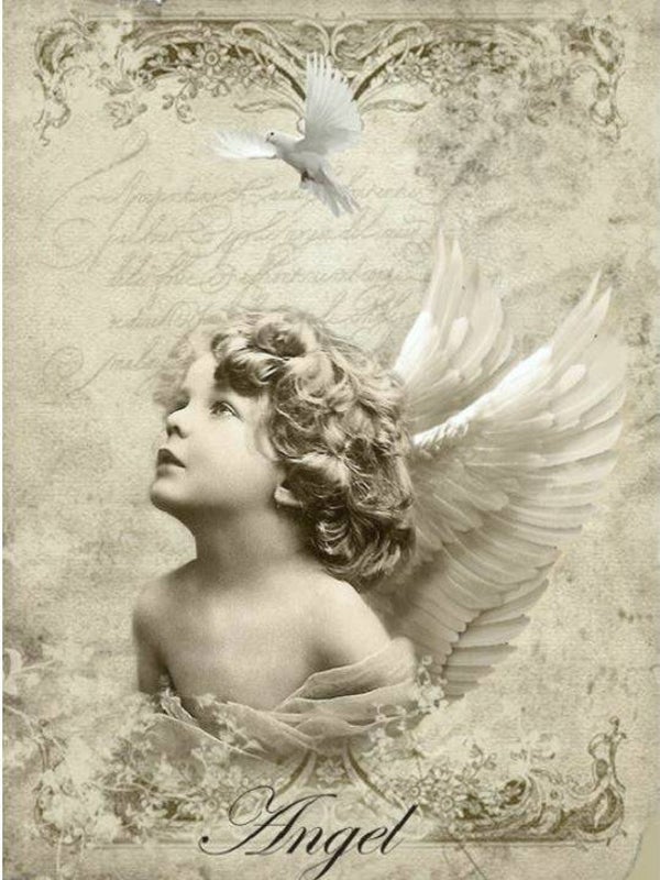 Nostalgisch foto en tekstbordje no.222 (4 stuks) engel goud