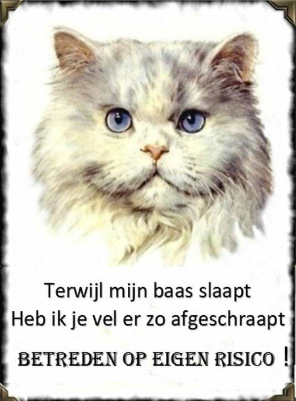 Nostalgisch foto en tekstbordje no.291  (4 stuks) terwijl mijn baas slaapt