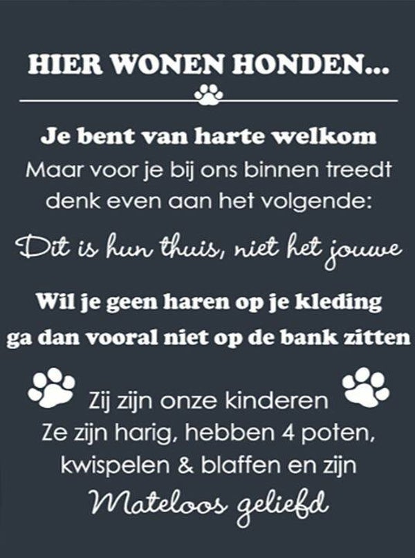 Nostalgisch foto en tekstbordje no.295 (4 stuks)hier wonen honden