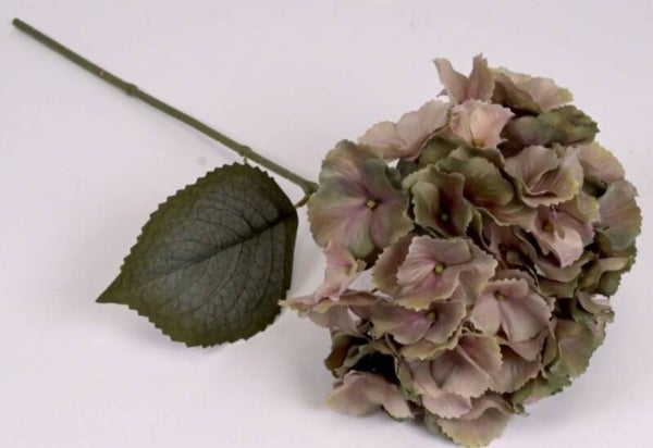 H2-7 hortensia  greenpink    55 cm   gaan per 12