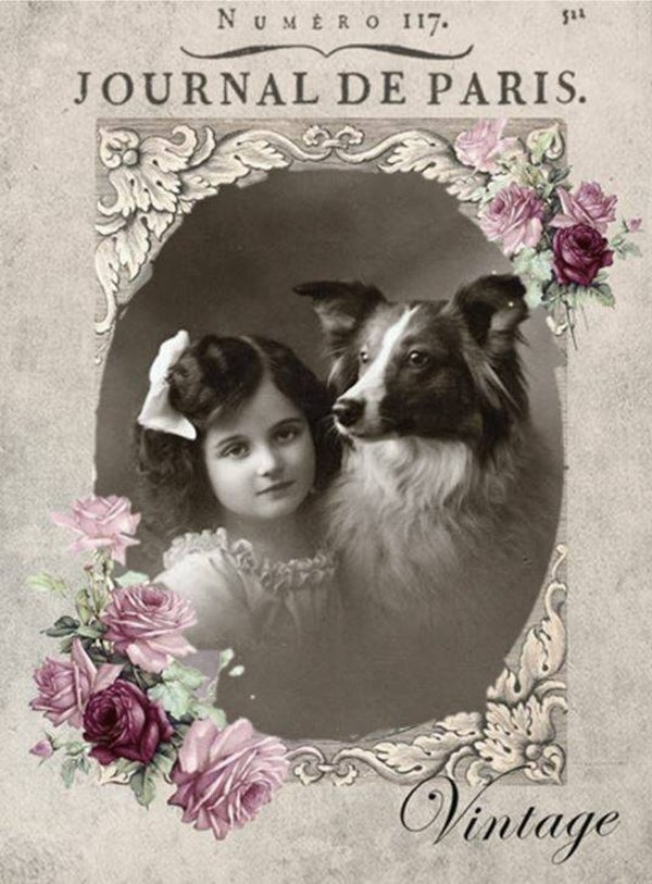 Nostalgisch foto en tekstbordje no. 375 (4 stuks)meisje border collie