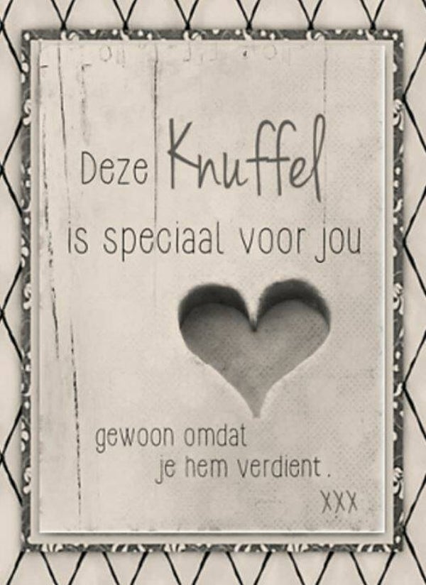 Nostalgisch foto en tekstbordje no. 456 (4 stuks)knuffel  speciaal voor jou