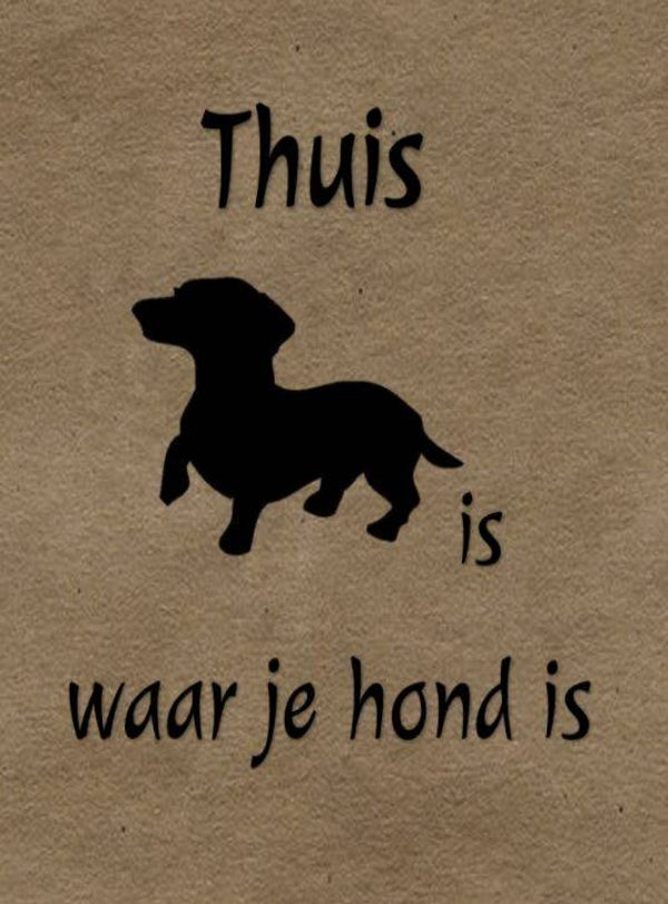 Nostalgisch foto en tekstbordje no. 667 (4 stuks) thuis hond