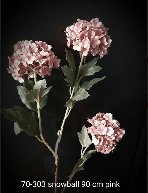 70-303 snowball pink