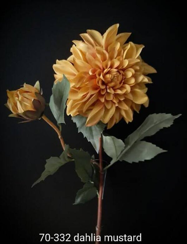 70-332 dahlia mustard