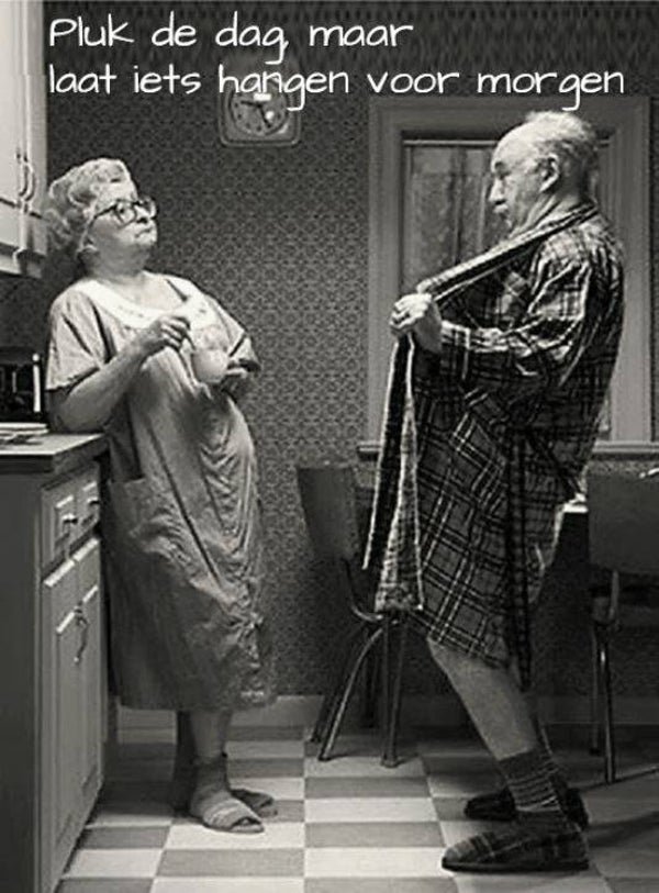 Nostalgisch foto en tekstbordje no. 716 (4 stuks) pluk de dag jas open