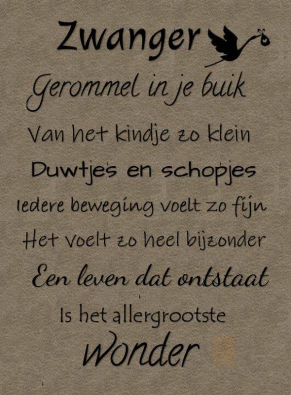 Nostalgisch foto en tekstbordje no. 721 (4 stuks) zwanger kraft