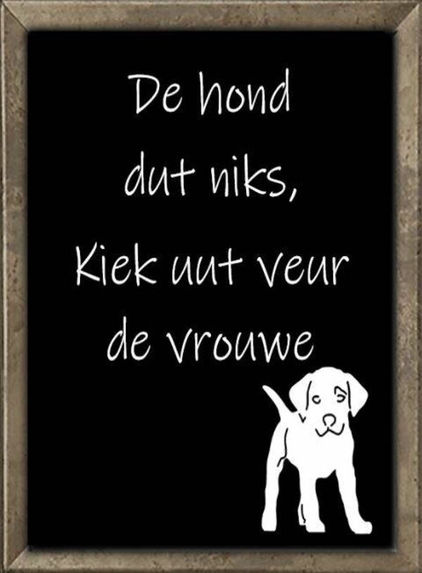 Nostalgisch foto en tekstbordje no. 774 (4 stuks) de hond dut niks bruin kader