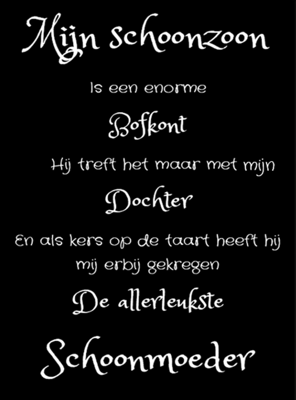 Nostalgisch foto en tekstbordje no. 799   ( 4 stuks) mijn schoonzoon