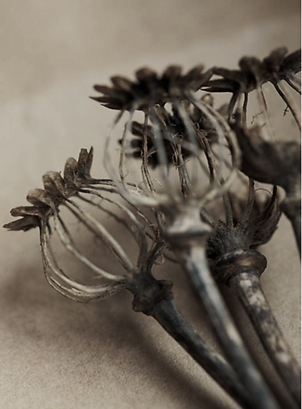 Nostalgisch foto en tekstbordje no. 841   ( 4 stuks) papavers