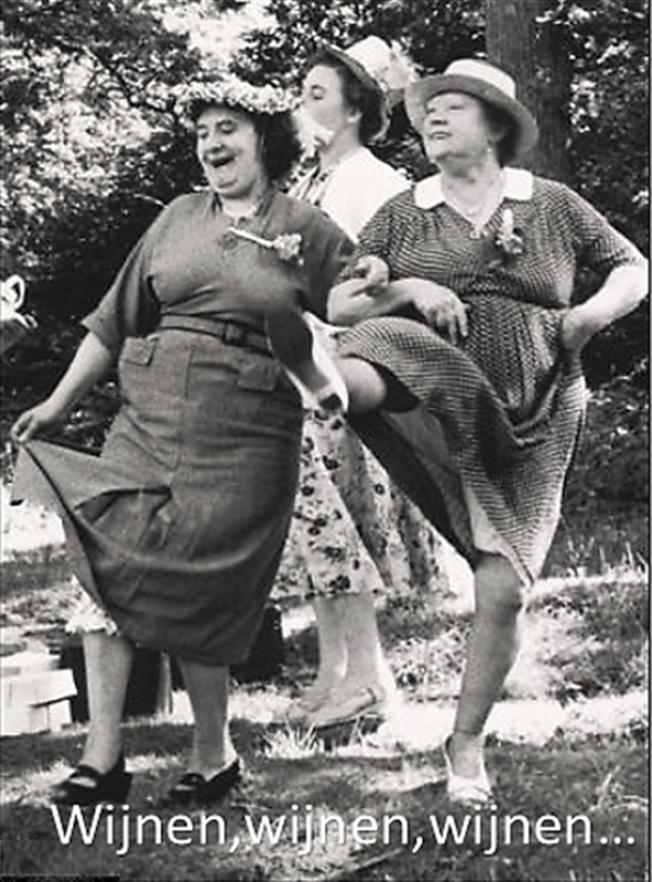 Nostalgisch foto en tekstbordje no. 842   ( 4 stuks) dames wijnen