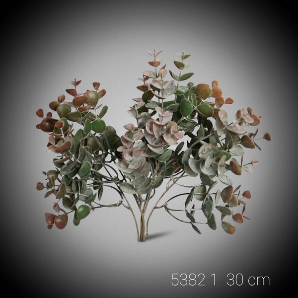 5382_1 euca 30 cm  ( gaan per 3)