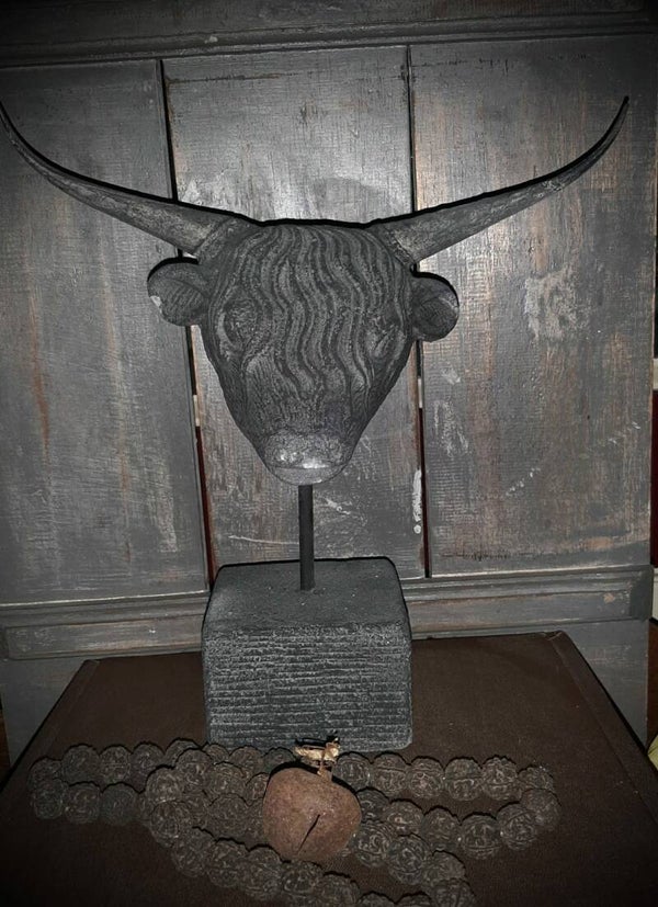 Stier op voet  (alleen afhalen)