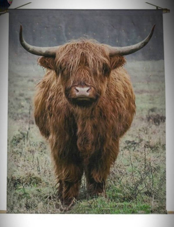 Wanddoek hooglander met led L