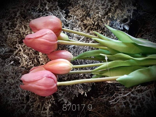 87017 6 tulp classic beauty pink 7 stelen gaan per 6 bos