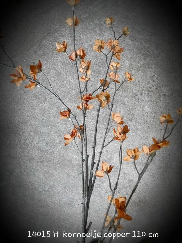 14015 H kornoelje copper