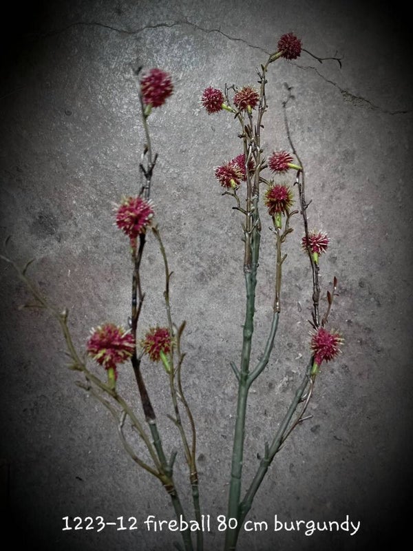 1223-12 fireball burgundy 80 cm