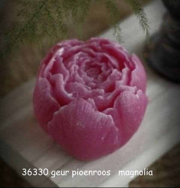 36330 geur pioen geur: magnolia