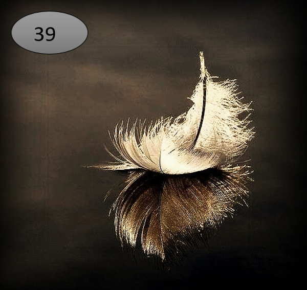 Viltje no.39   veertje