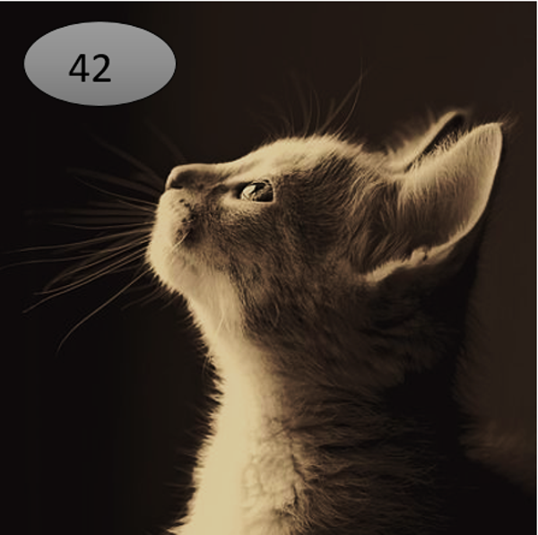 Viltje no.42   poes sepia