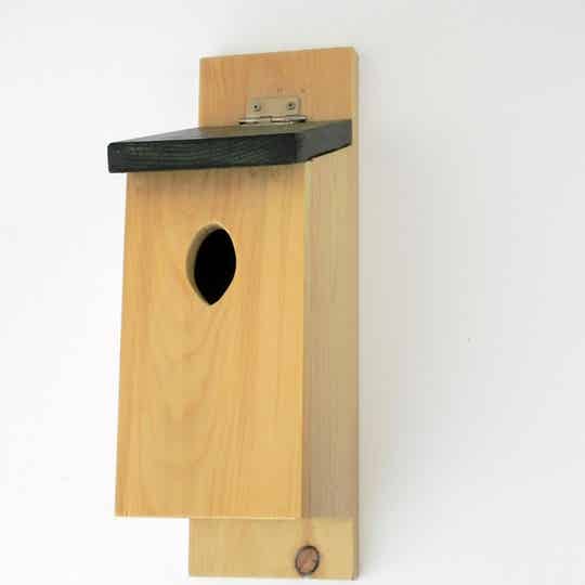 HOUT Vogel huis Gekraagde Rood staart