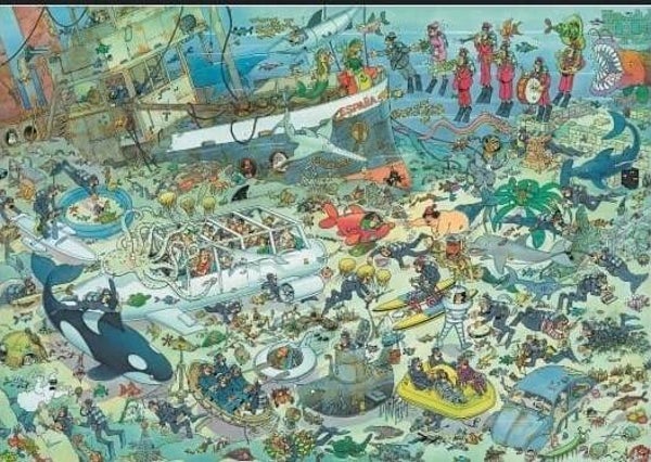 ( 38 zak grijs) Pret onder water 1000 stukjes