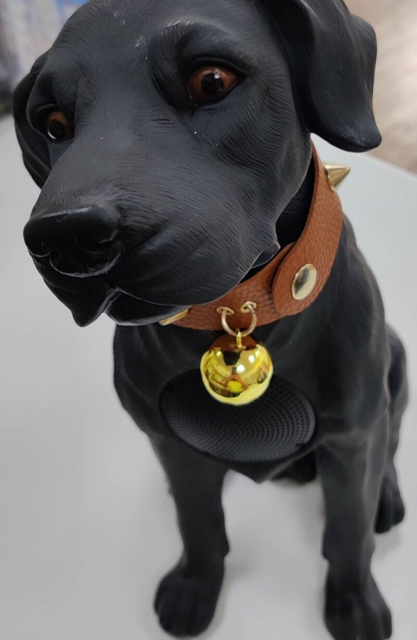 DOG SPEAKER