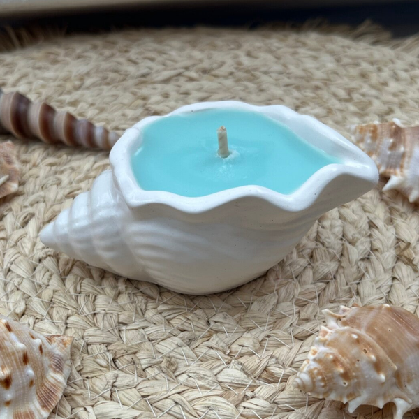 Coquillage