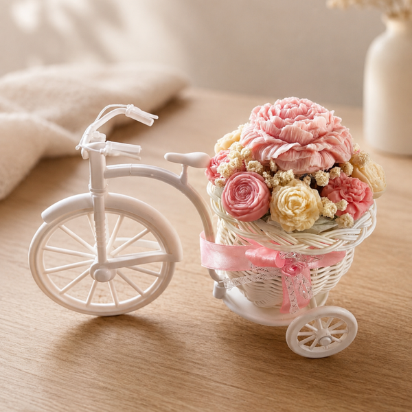 bicyclette