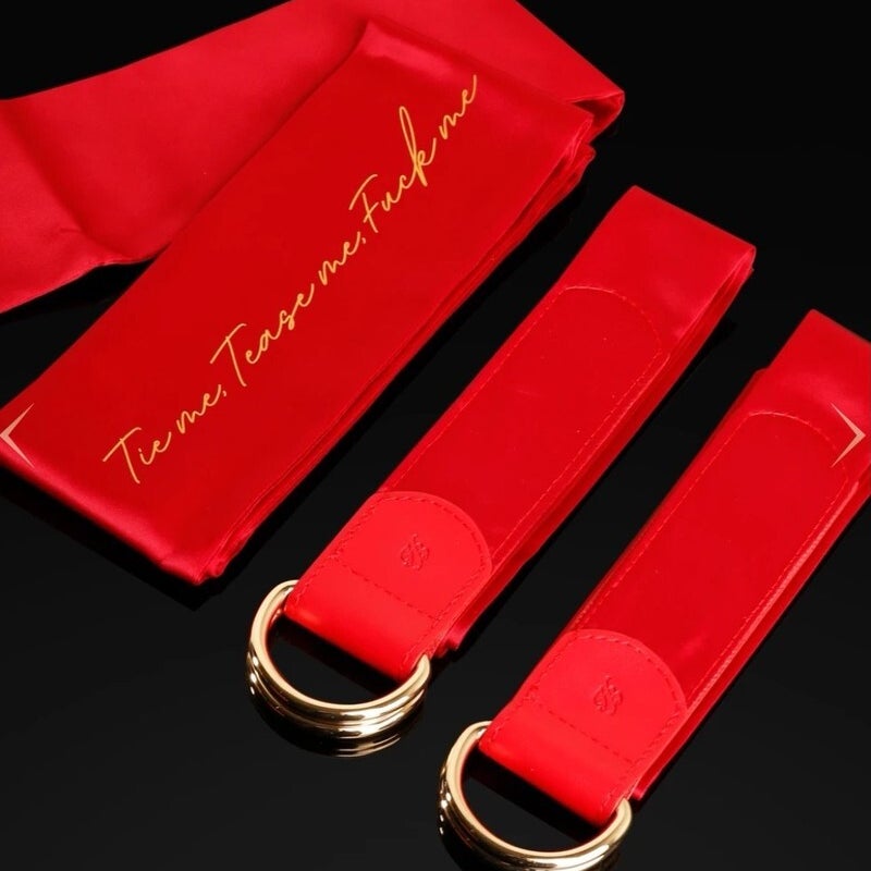 satinredbondage53825383850.jpg