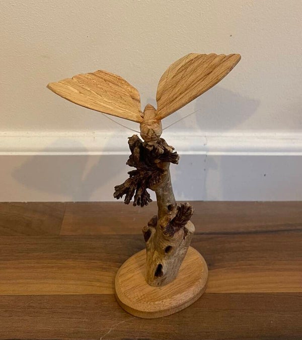 Houten vlinder op parasiet - KLEIN