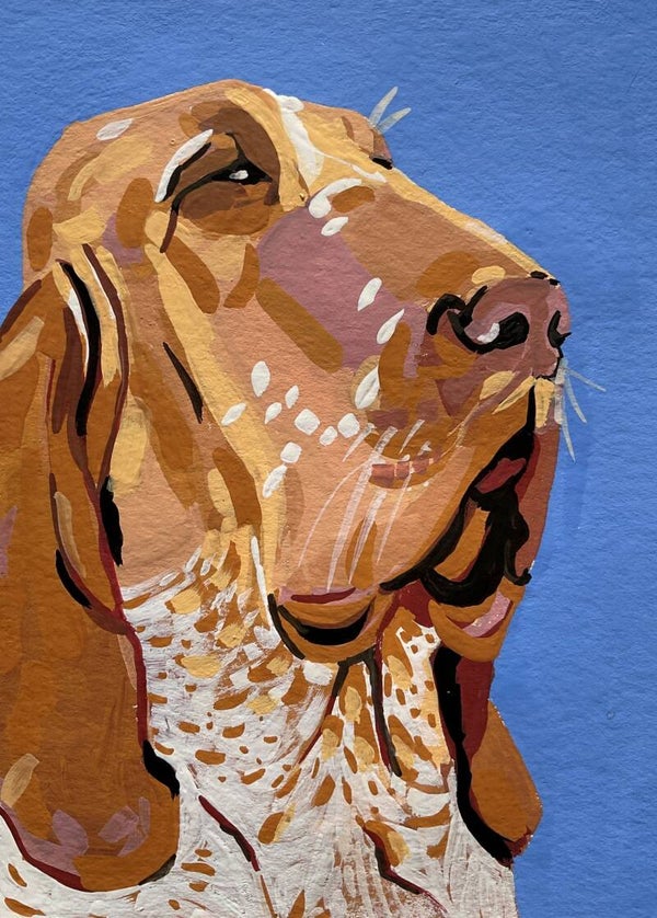 Portret in opdracht Huisdier (S)