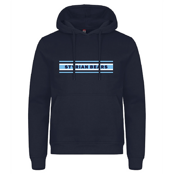 Hoodie "Bears Stripes", 0201031