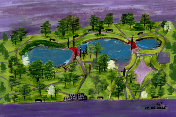 Postcard Elm Park 6x4