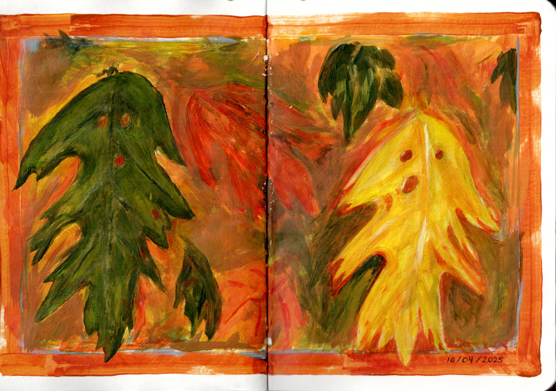 sketchbook2025-1004-standard.png