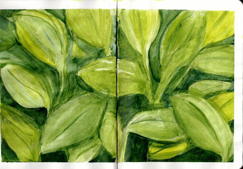 sketchbook2025-1217-standard.jpg