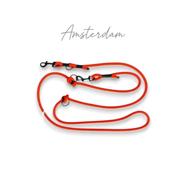 Laisse AMSTERDAM