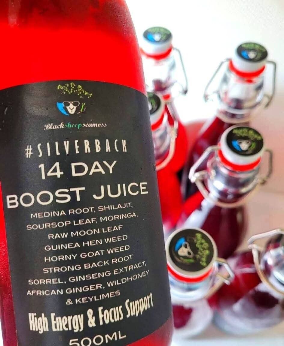 14DAY BOOST-JUICE FULL SPECTRUM BLOOD-CLEANSE