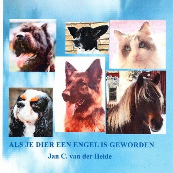 Als je dier een engel is geworden...