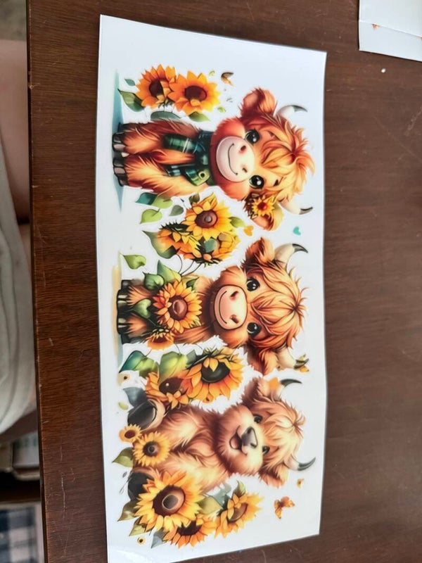 Sunflower baby cows